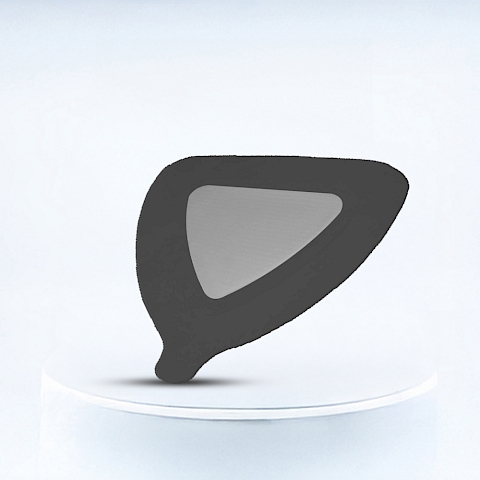 Difa® Ag Gümüşlü Yara Örtüleri